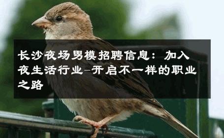 长沙夜场男模招聘信息：加入夜生活行业-开启不一样的职业之路 