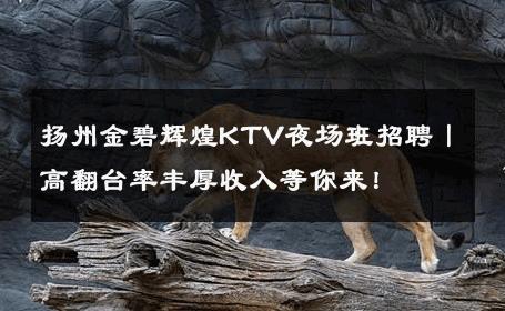 扬州金碧辉煌KTV夜场班招聘丨高翻台率丰厚收入等你来！ 