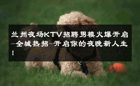 兰州夜场KTV招聘男模火爆开启-全城热招-开启你的夜晚新人生！ 