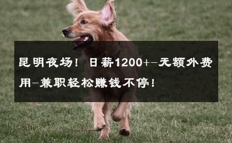 昆明夜场！日薪1200+-无额外费用-兼职轻松赚钱不停！ 