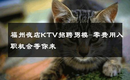 福州夜店KTV招聘男模-零费用入职机会等你来 