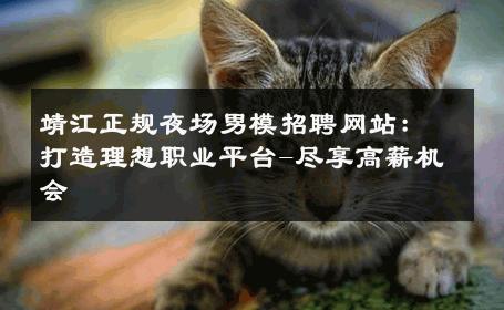 靖江正规夜场男模招聘网站：打造理想职业平台-尽享高薪机会 
