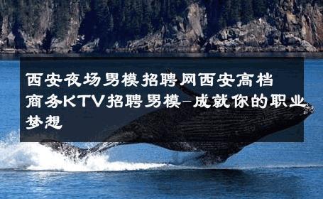 西安夜场男模招聘网西安高档商务KTV招聘男模-成就你的职业梦想 