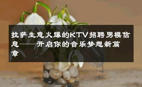 拉萨生意火爆的KTV招聘男模信息——开启你的音乐梦想新篇章 