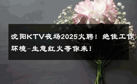 沈阳KTV夜场2025火聘！绝佳工作环境-生意红火等你来！ 