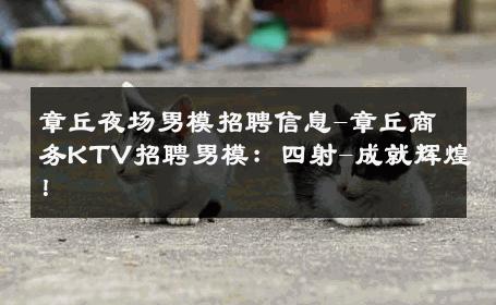 章丘夜场男模招聘信息-章丘商务KTV招聘男模：四射-成就辉煌！ 