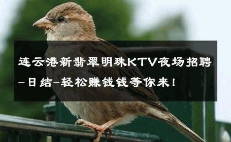 连云港新翡翠明珠KTV夜场招聘-日结-轻松赚钱钱等你来！ 