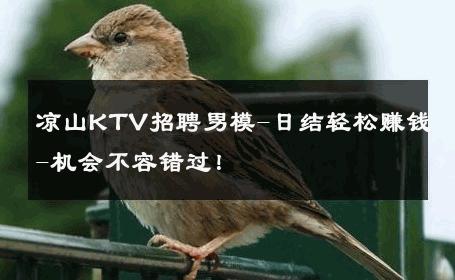 凉山KTV招聘男模-日结轻松赚钱-机会不容错过！ 
