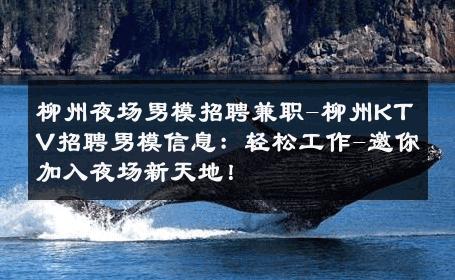 柳州夜场男模招聘兼职-柳州KTV招聘男模信息：轻松工作-邀你加入夜场新天地！ 