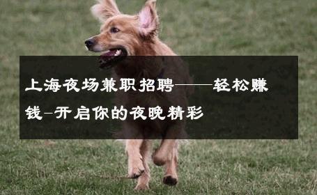 上海夜场兼职招聘——轻松赚钱-开启你的夜晚精彩 