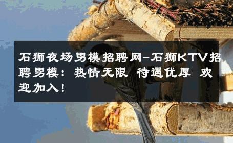 石狮夜场男模招聘网-石狮KTV招聘男模：热情无限-待遇优厚-欢迎加入！ 