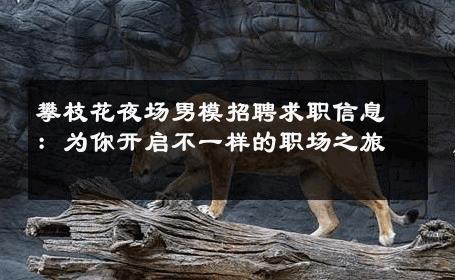 攀枝花夜场男模招聘求职信息：为你开启不一样的职场之旅 
