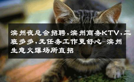 滨州夜总会招聘,滨州商务KTV,二班多多,无任务工作更舒心-滨州生意火爆场所直招