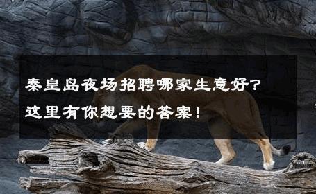 秦皇岛夜场招聘哪家生意好？这里有你想要的答案！