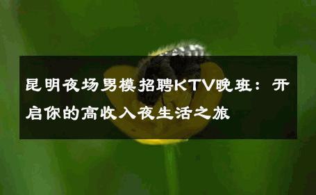 昆明夜场男模招聘KTV晚班：开启你的高收入夜生活之旅 