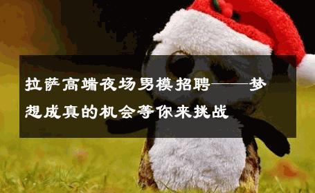 拉萨高端夜场男模招聘——梦想成真的机会等你来挑战 