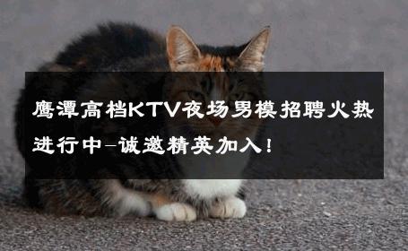 鹰潭高档KTV夜场男模招聘火热进行中-诚邀精英加入！ 