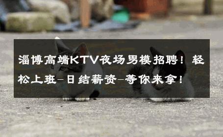 淄博高端KTV夜场男模招聘！轻松上班-日结薪资-等你来拿！ 