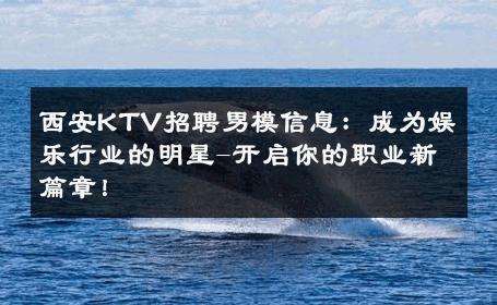 西安KTV招聘男模信息：成为娱乐行业的明星-开启你的职业新篇章！ 