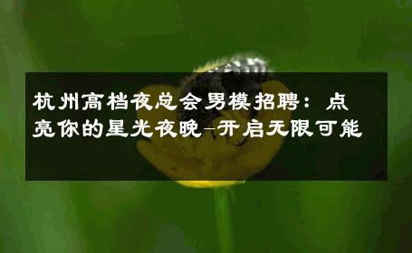 杭州高档夜总会男模招聘：点亮你的星光夜晚-开启无限可能 