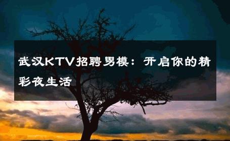 武汉KTV招聘男模：开启你的精彩夜生活 