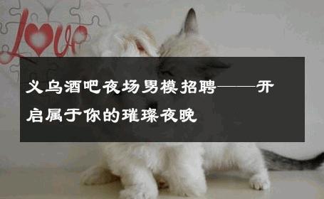 义乌酒吧夜场男模招聘——开启属于你的璀璨夜晚 