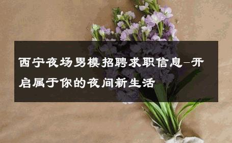 西宁夜场男模招聘求职信息-开启属于你的夜间新生活 