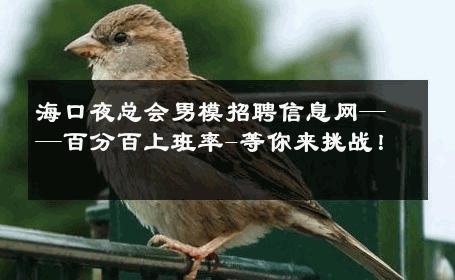 海口夜总会男模招聘信息网——百分百上班率-等你来挑战！ 