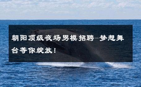 朝阳顶级夜场男模招聘-梦想舞台等你绽放！ 