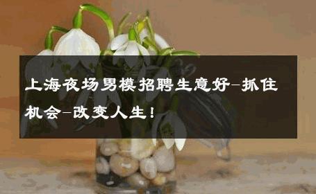 上海夜场男模招聘生意好-抓住机会-改变人生！ 