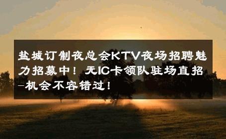 盐城订制夜总会KTV夜场招聘魅力招募中！无IC卡领队驻场直招-机会不容错过！ 