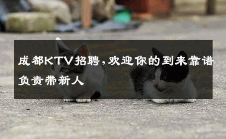 成都KTV招聘,欢迎你的到来靠谱负责带新人 