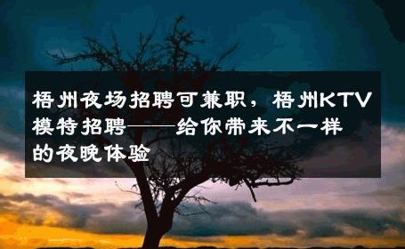 梧州夜场招聘可兼职，梧州KTV模特招聘——给你带来不一样的夜晚体验