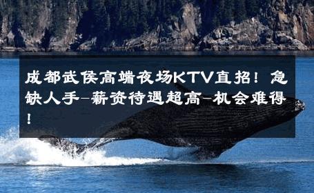 成都武侯高端夜场KTV直招！急缺人手-薪资待遇超高-机会难得！ 