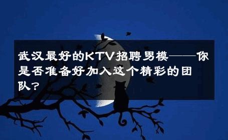 武汉最好的KTV招聘男模——你是否准备好加入这个精彩的团队？ 