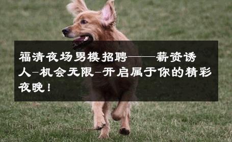 福清夜场男模招聘——薪资诱人-机会无限-开启属于你的精彩夜晚！ 