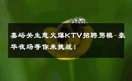 嘉峪关生意火爆KTV招聘男模-豪华夜场等你来挑战！ 