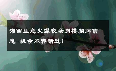 湘西生意火爆夜场男模招聘信息-机会不容错过！ 