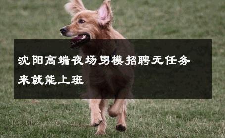 沈阳高端夜场男模招聘无任务来就能上班 