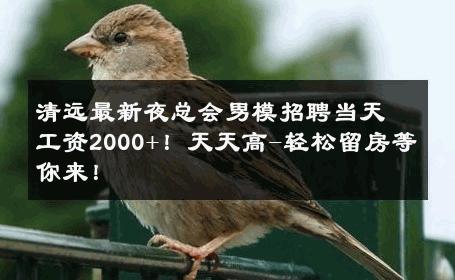清远最新夜总会男模招聘当天工资2000+！天天高-轻松留房等你来！ 