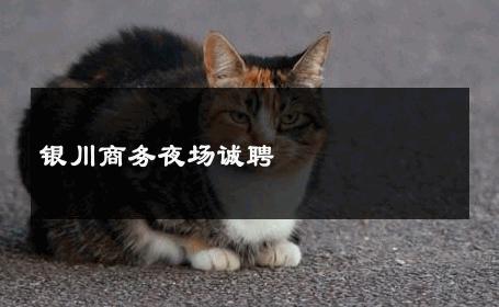 银川商务夜场诚聘 