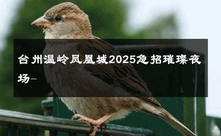 台州温岭凤凰城2025急招璀璨夜场- 