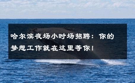 哈尔滨夜场小时场招聘：你的梦想工作就在这里等你！ 