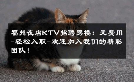 福州夜店KTV招聘男模：无费用-轻松入职-欢迎加入我们的精彩团队！ 