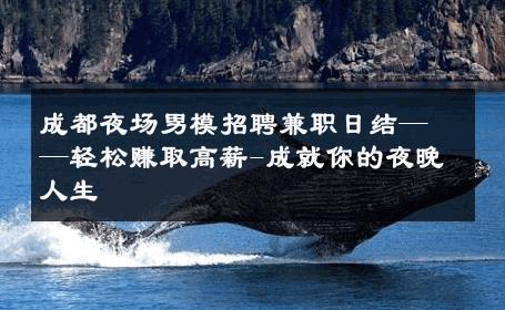 成都夜场男模招聘兼职日结——轻松赚取高薪-成就你的夜晚人生 