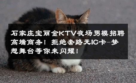 石家庄宝丽金KTV夜场男模招聘高端商务！拒绝套路无IC卡-梦想舞台等你来闪耀！ 