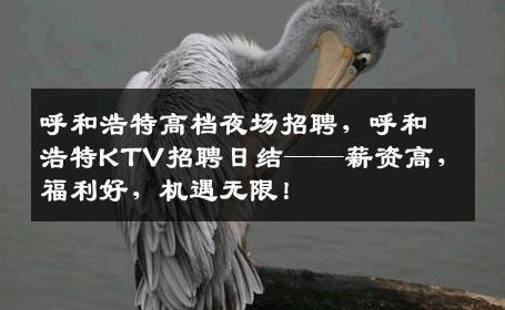 呼和浩特高档夜场招聘，呼和浩特KTV招聘日结——薪资高，福利好，机遇无限！