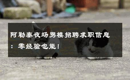 阿勒泰夜场男模招聘求职信息：零经验也能！ 