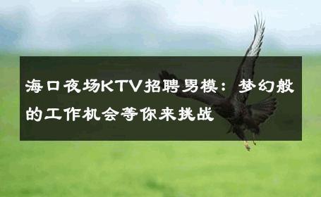 海口夜场KTV招聘男模：梦幻般的工作机会等你来挑战 