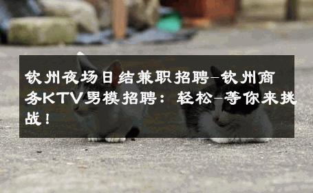 钦州夜场日结兼职招聘-钦州商务KTV男模招聘：轻松-等你来挑战！ 